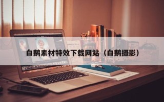 宜都白鹅素材特效下载网站（白鹅摄影）